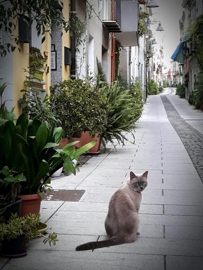 Via San Giacomo 10 Cagliari Dış mekan fotoğraf